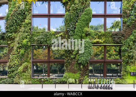 Muro vivente Parigi - giardino verticale realizzato da Patrick Blanc il Musée du Quai Branly a Parigi, in Francia, in Europa. Foto Stock