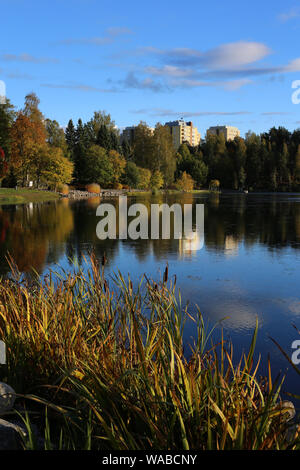 Paesaggio panoramico del Lago Valkeinen situato in Kuopio, Finlandia. È possibile vedere il giallo e il verde degli alberi durante l'autunno / autunno e piccole nuvole.