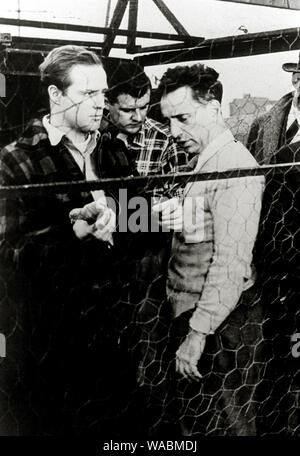 Direttore di Elia Kazan e Marlon Brando sul set di "On the waterfront" (1954) Columbia Pictures Riferimento File # 33848-214THA Foto Stock