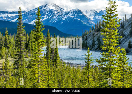 Spring Mountain Valley - Primavera nuvole temporalesche passando sopra le alte creste di Mt. Sarbach e nella Valle Nord del Fiume Saskatchewan, il Parco Nazionale di Banff. Foto Stock