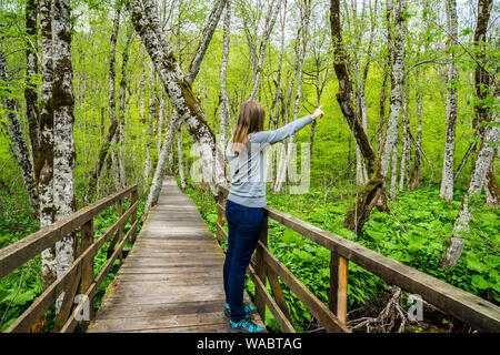 Montenegro, Bella donna in piedi sulla passerella di legno sentiero esplorare e godere la natura verdeggiante paesaggio di Biogradska Gora parco nazionale Foto Stock
