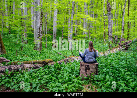 Montenegro, giovane bella ragazza seduta sul tronco di albero in Biogradska Gora parco nazionale di natura rilassante con la meditazione yoga esercizio per una buona salute Foto Stock