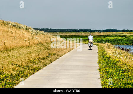 Kampen, Paesi Bassi, luglio 29, 2019: singolo ciclista su un percorso concreto btween la diga e le nuove zone umide lungo il canale Reevediep Foto Stock