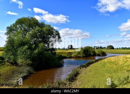 Lanca adiacenti al fiume Swale Cundall a. Foto Stock