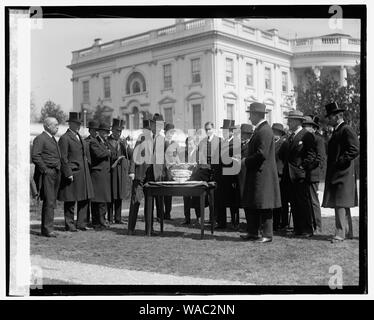 Coolidge tennis disegno, [3/17/24] Foto Stock