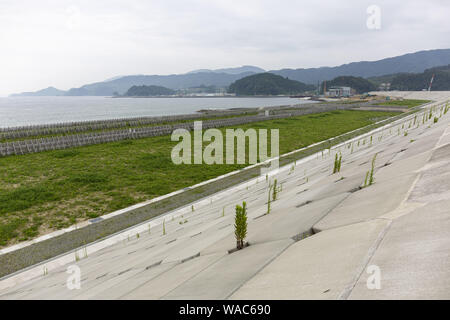 Rikuzentakata, Giappone. 19 Ago, 2019. Un enorme mare muro costruito lungo la costa per proteggere il Takata-Matsubara Memorial Park per il disastro dello tsunami, sotto-costruzione, dove il miracolo pino è conservato come un superstite del 2011 Tsunami. Il memorial park è costruito dal governo del Giappone e il governo della prefettura di Iwate per ricordare le vittime del terremoto del 2011, e come un simbolo di forte volontà per la ricostruzione. Il parco sarà aperto il suo nuovo Grande Oriente Giappone museo dello Tsunami del 22 settembre 2019, e la sua completa di servizi all'inizio del 2021. ''Tohoku Media Tour: Iwate Foto Stock