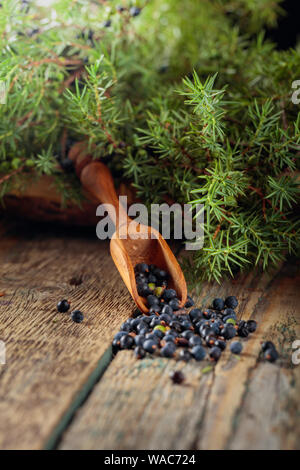 Il cucchiaio di legno con semi di ginepro. Ramo di ginepro con frutti di bosco su un sfondo di legno. Foto Stock