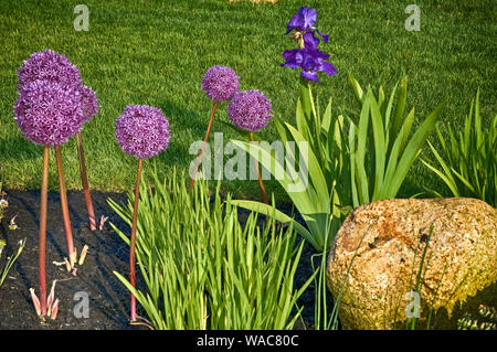 Il profumo che proviene da fiori e piante sono rinfrescante. Foto Stock