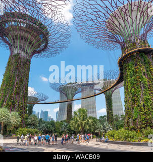 Supertree Grove a giardini dalla baia di Marina Bay Sands dietro, città di Singapore, Singapore Foto Stock
