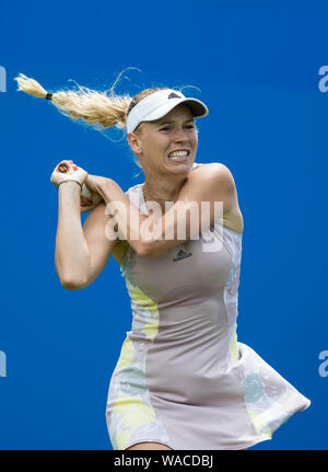 Aegon International 2016, Eastbourne Inghilterra - Caroline WOZNIACKI della Danimarca in azione contro Samantha STOSUR dell Australia Martedì, 21 Giugno, 2016 Foto Stock