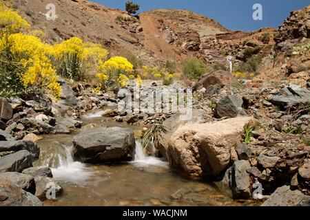 Impressioni di roadtrip attraverso il Marocco Foto Stock