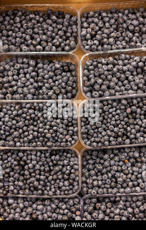 I mirtilli confezionato in un contenitore in plastica sono sul banco del negozio. In estate la vendita di frutti di bosco Foto Stock