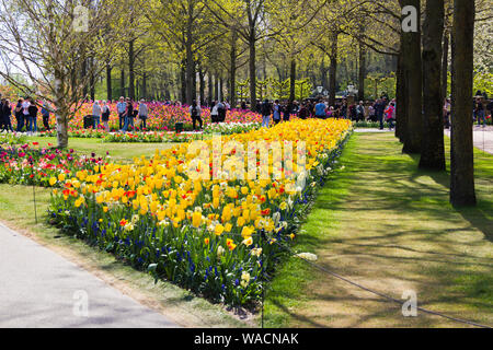 Il Keukenhof Lisse, Paesi Bassi - 18 Aprile 2019: la vista di diversi angoli del parco Keukenhof, i mondi più grande fiore e tulip garden park Foto Stock