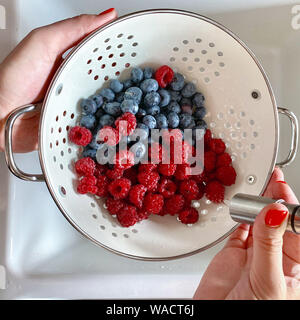 Donna lavando a mano lampone e mirtillo in una grande ciotola di metallo con acqua sul lavandino da cucina. Vista dall'alto Foto Stock