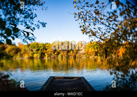 Tilt Shift foto di vista attraverso gli alberi su dock per l'autunno. Foto Stock