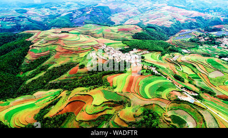 Il paesaggio di Dongchuan multicolore rosso della terra nel villaggio Huashitou, città di Kunming, a sud-ovest della Cina di provincia di Yunnan, 12 luglio 2019. Dongchuan Red La Foto Stock
