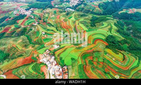 Il paesaggio di Dongchuan multicolore rosso della terra nel villaggio Huashitou, città di Kunming, a sud-ovest della Cina di provincia di Yunnan, 12 luglio 2019. Dongchuan Red Foto Stock