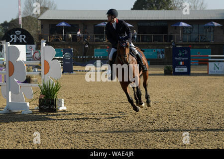 Durban, Sud Africa, show jumping concorrenza, singolo uomo adulto di equitazione, Shongweni Festival, 2019, 1,35 m, campionato, persone, pilota, azione Foto Stock