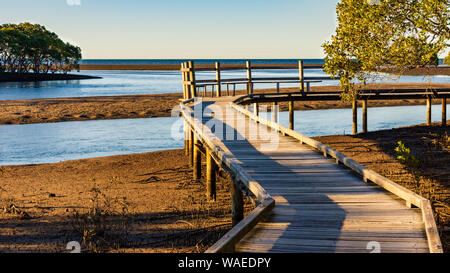 Un avvolgimento Boardwalk è il modo attraverso le Mangrovie Foto Stock