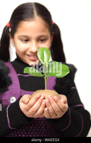 Ragazza che tiene una piccola pianta Foto Stock