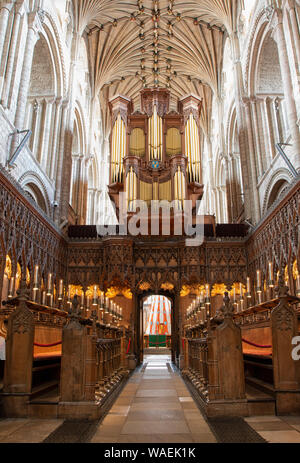 L'interno e la sede del vescovo di Norwich Cathedral Foto Stock