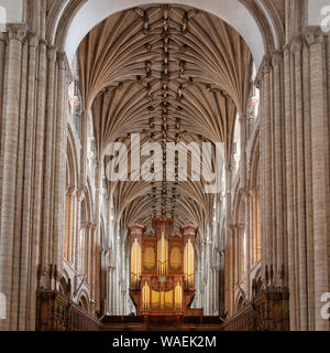 L'interno e la sede del vescovo di Norwich Cathedral Foto Stock