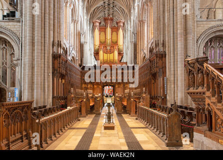 L'interno e la sede del vescovo di Norwich Cathedral Foto Stock