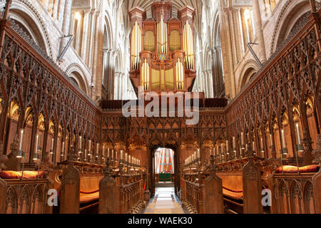 L'interno e la sede del vescovo di Norwich Cathedral Foto Stock