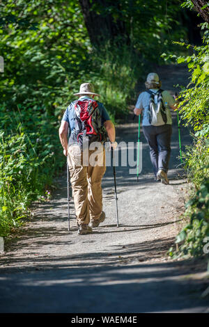 Coppia di anziani escursionismo foresta stanno camminando sul marciapiede e di respirare un'aria salubre per rafforzare l'immunità e rafforzare il corpo Foto Stock