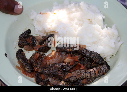 Una ciotola di mopane worms, mielie pap e salsa di pomodoro al Villaggio Culturale Lesedi, Culla dell'umanità, Sud Africa Foto Stock