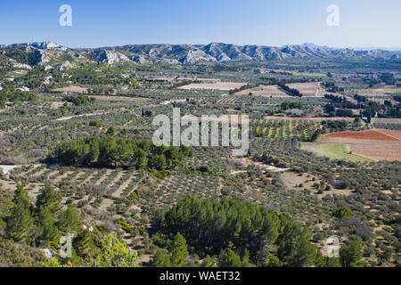 Vista su terreni agricoli per il Chaines des Alpilles da Chateau des Baux Alpilles Parco Naturale Regionale delle Bouches-du-Rhone Provence Francia Foto Stock