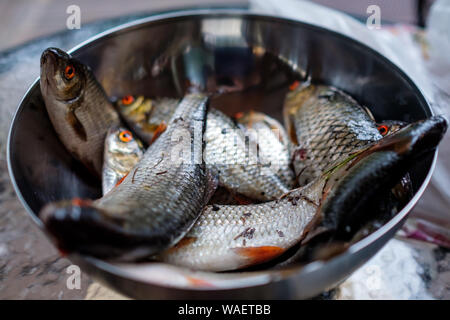 Pesce fresco in recipiente metallico. Vista dall'alto. Foto Stock