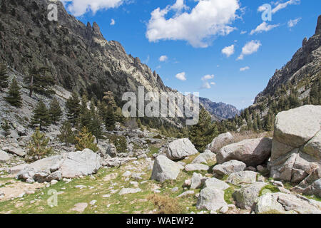 Montagne nella Valle della Restonica vicino a Corte Corsica Francia Maggio 2016 Foto Stock