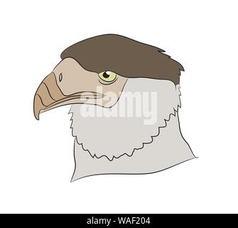 Illustrazione vettoriale di un ritratto di un'aquila, il colore di disegno, sfondo bianco Illustrazione Vettoriale