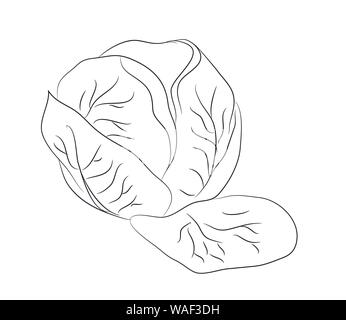 La verdura e la frutta linee di disegno, vettore, sfondo bianco Illustrazione Vettoriale