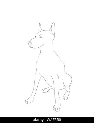 Dog sitter linee di disegno, vettore, sfondo bianco Illustrazione Vettoriale