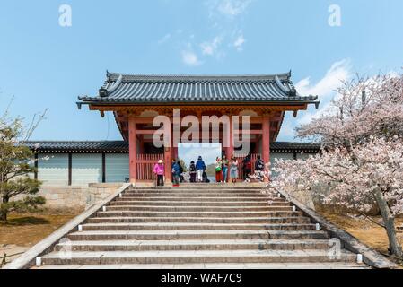 I visitatori al cancello della Ninna-ji il tempio, la fioritura dei ciliegi, Kyoto, Giappone Foto Stock