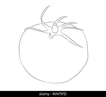 La verdura e la frutta linee di disegno, vettore, sfondo bianco Illustrazione Vettoriale