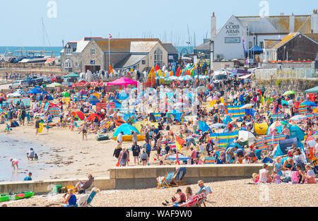 Lyme Regis, Dorset, Regno Unito. 20 agosto 2019. Regno Unito: Meteo i vacanzieri e beachgoers pack la pittoresca spiaggia presso la località balneare di Lyme Regis in un caldo e assolato pomeriggio. La cottura in forno caldo è impostata per continuare oltre verso il bank holiday quando la folla di visitatori sono impostati per il gregge fino alla costa sud come la scuola vacanze estate continua. Credito: Celia McMahon/Alamy Live News Foto Stock