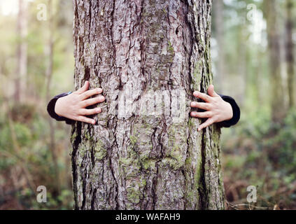 Tree abbracciava, Little Boy dando un albero un abbraccio il concetto di amore per la natura Foto Stock