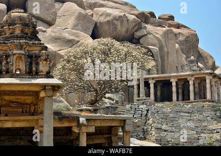 Albero e piccoli templi di pietra a tra rocce in Hampi, Karnataka, India Foto Stock