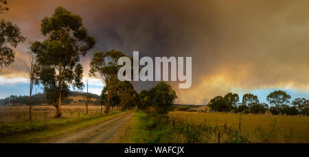 Bush fuoco, fumo e masterizzazione di erba, in Tynong, Victoria, Australia Foto Stock