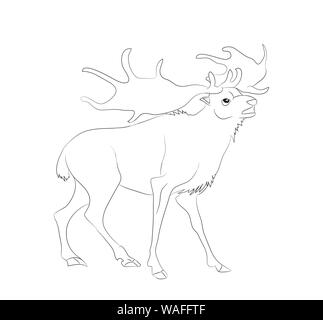 Illustrazione Vettoriale Cervo sorge disegno di linee, vettore, sfondo bianco Illustrazione Vettoriale