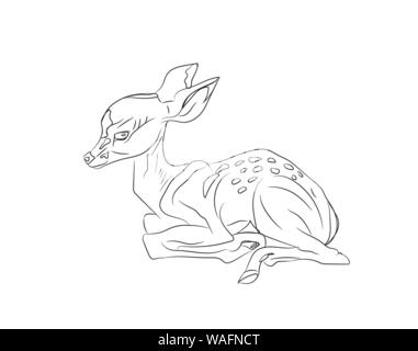 Baby deer giacente, linee vettoriali, sfondo bianco Illustrazione Vettoriale