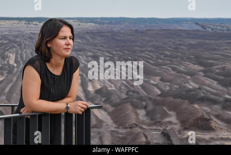 20 agosto 2019, Brandeburgo, Welzow: Annalena Baerbock, Presidente federale Bündnis 90/Die Grünen, sorge in un punto panoramico e guarda alla lignite Welzow-Süd miniera a cielo aperto di Lausitz Energie Bergbau AG (LEAG). Lo stesso giorno il candidato ha informato se stessa circa la fossa aperta miniera di lignite e circa il piano di istituire uno spazio europeo di lotta antincendio squadrone per l'Europa del nord all'aviosuperficie Welzow. Su 01.09.2019 è in stato di Brandeburgo elezione. Foto: Patrick Pleul/dpa-Zentralbild/ZB Foto Stock