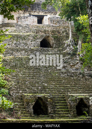 Vista del incolto tempio Maya di Dzibanche nella foresta pluviale del Messico. Foto Stock