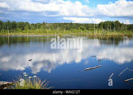 Paesaggio con lago di riflessione e nuvoloso cielo blu Foto Stock