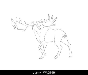 Illustrazione Vettoriale Cervo sorge disegno di linee, vettore, sfondo bianco Illustrazione Vettoriale
