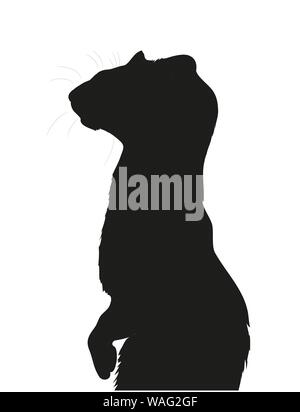 Di visone, ferret ritratto illustrazione vettoriale, silhouette disegno, vettore, sfondo bianco Illustrazione Vettoriale