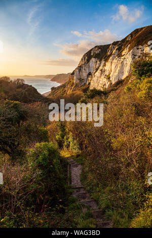 Il percorso della costa sud-occidentale che conduce attraverso la frana di Hooken sulla costa Jurassic a Devon, Inghilterra Foto Stock